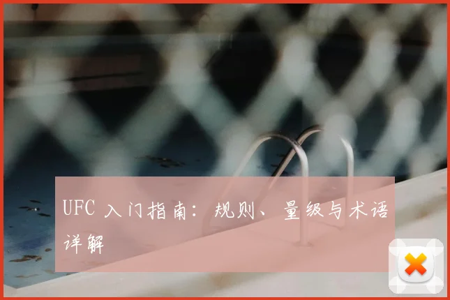 UFC 入门指南：规则、量级与术语详解